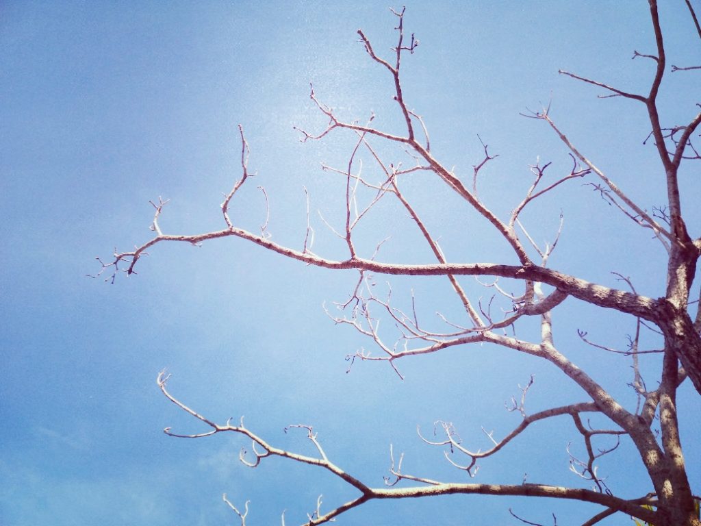 tugas utama seorang pendidik